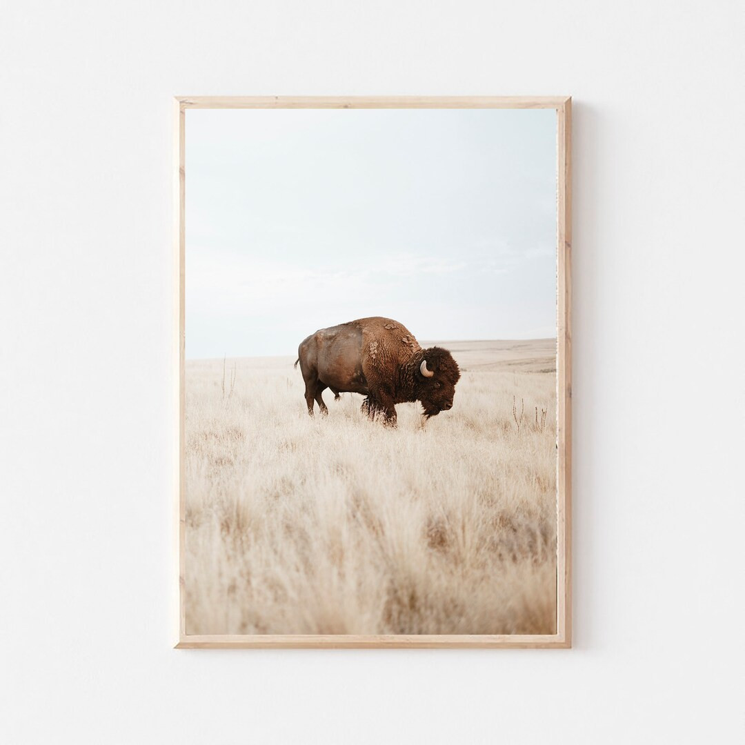 Buffalo Print, Bison Wall Art, Nursery Decor, Bison Print, Farmhouse Wall Art, Neutral Print, Ame... | Etsy (US)