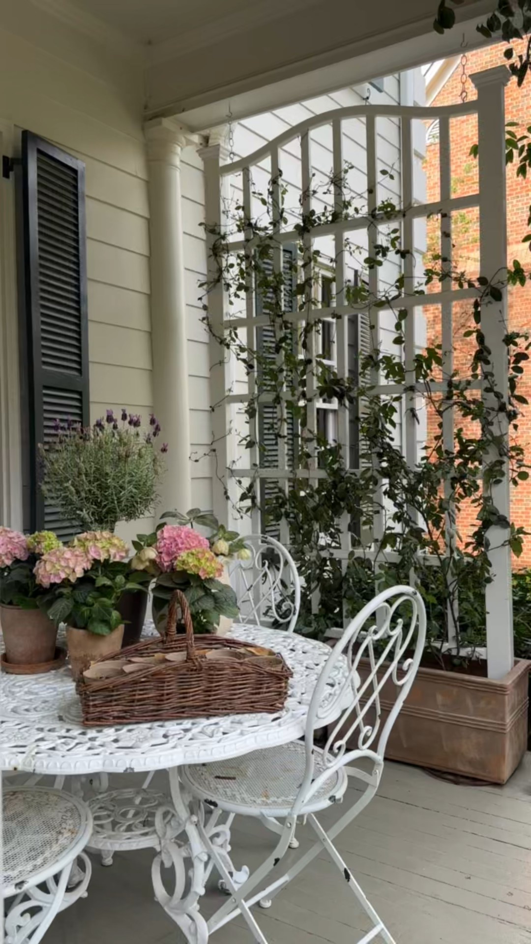 Spring time on the front porch🌸🍃🌷

#LTKHome #LTKSeasonal