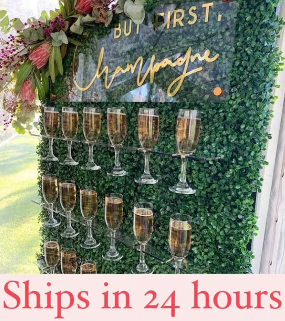 Acrylic champagne glass holders. HOLDS 6-8-10 glasses  DIY champagne wall/ wall mount glass holde... | Etsy (US)