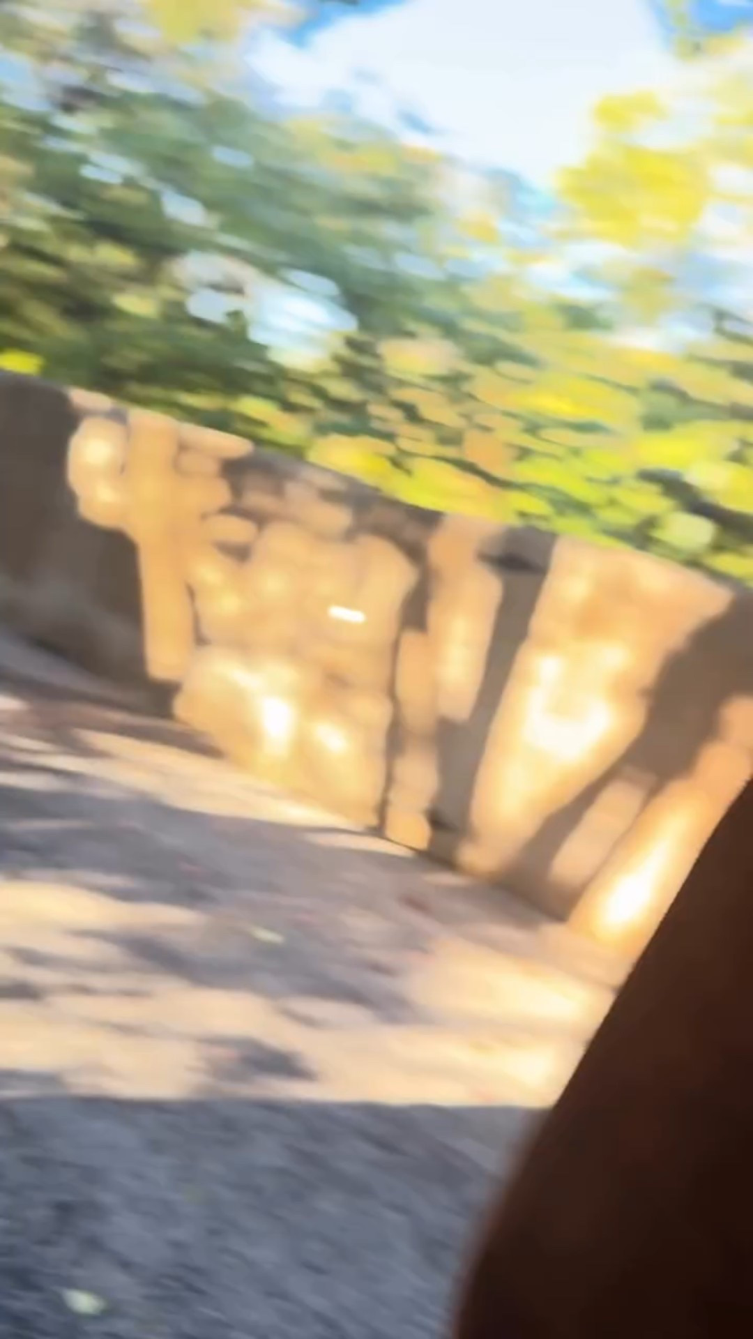 Weather obsessed right now 🍂🍁comment FALL for links!