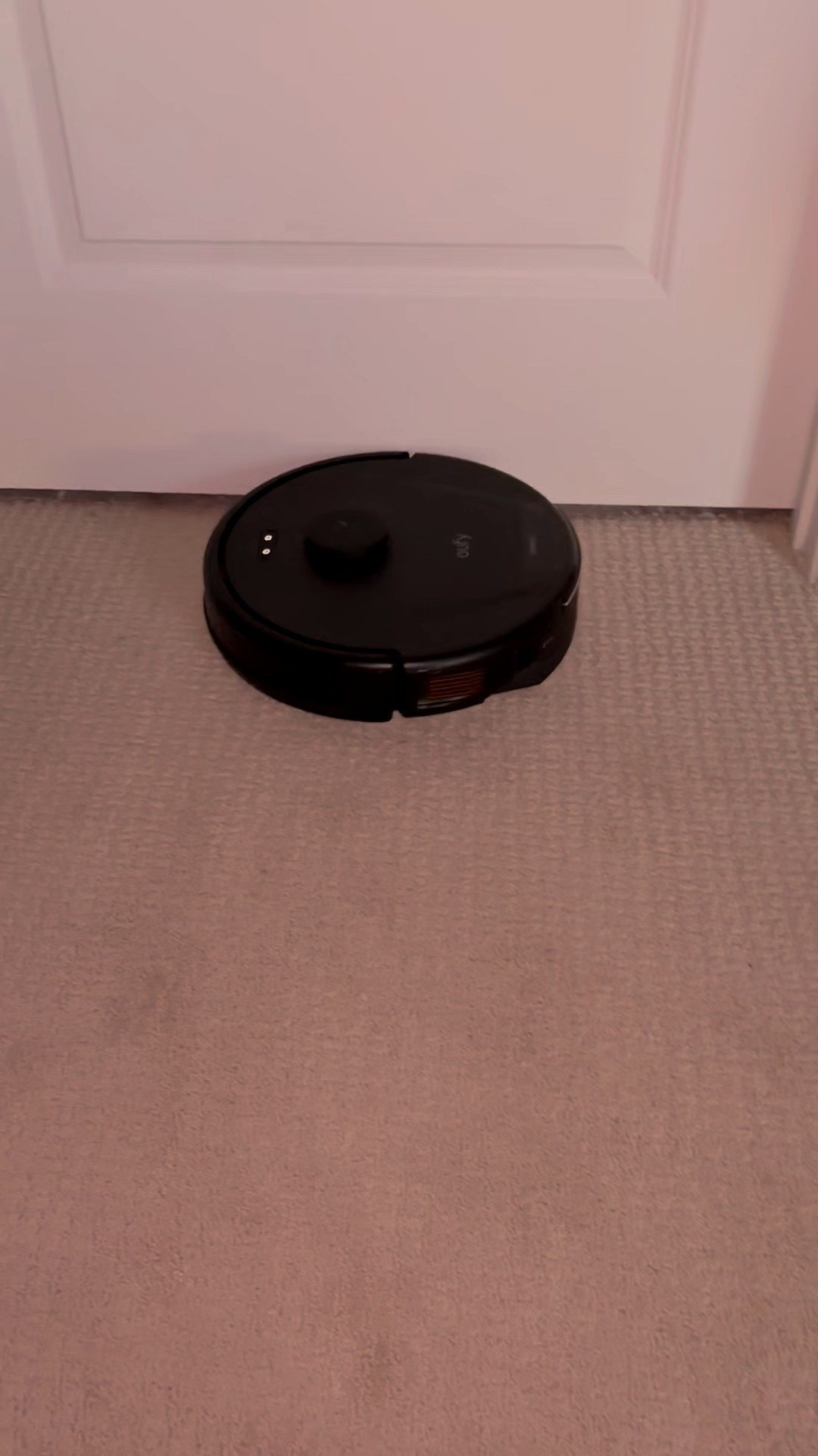 My dog sheds. A lot. And while I work 60 hours a week, it’s not feasible to vacuum every day! So I got this little robot vacuum that self-empties, works on carpets, and is programmable via an app to keep my apartment clean!

#LTKPets #LTKHome