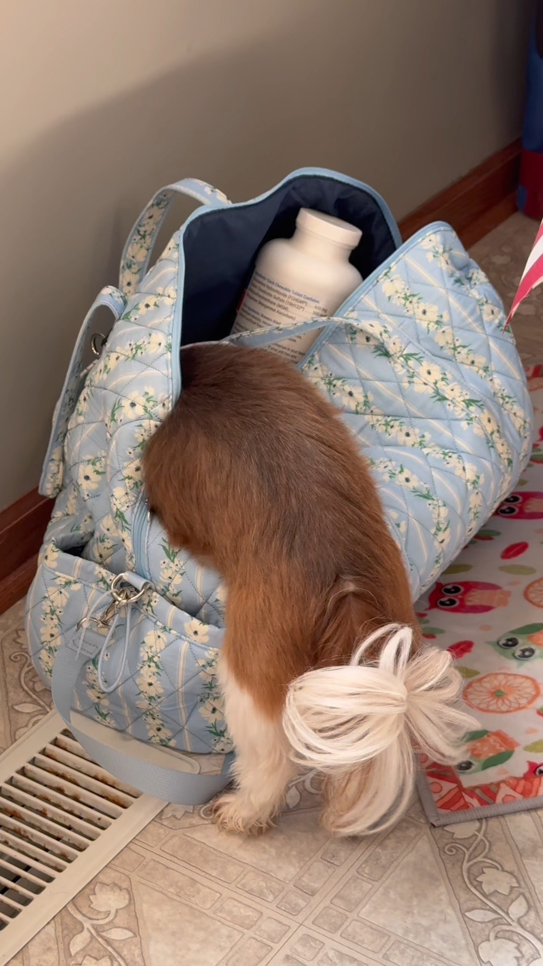 Bought this cute quilted floral duffel bag from Target. it’s cute for back to school, but I have been using it for my dogs items when we travel.


#LTKItBag #LTKPets #LTKSeasonal