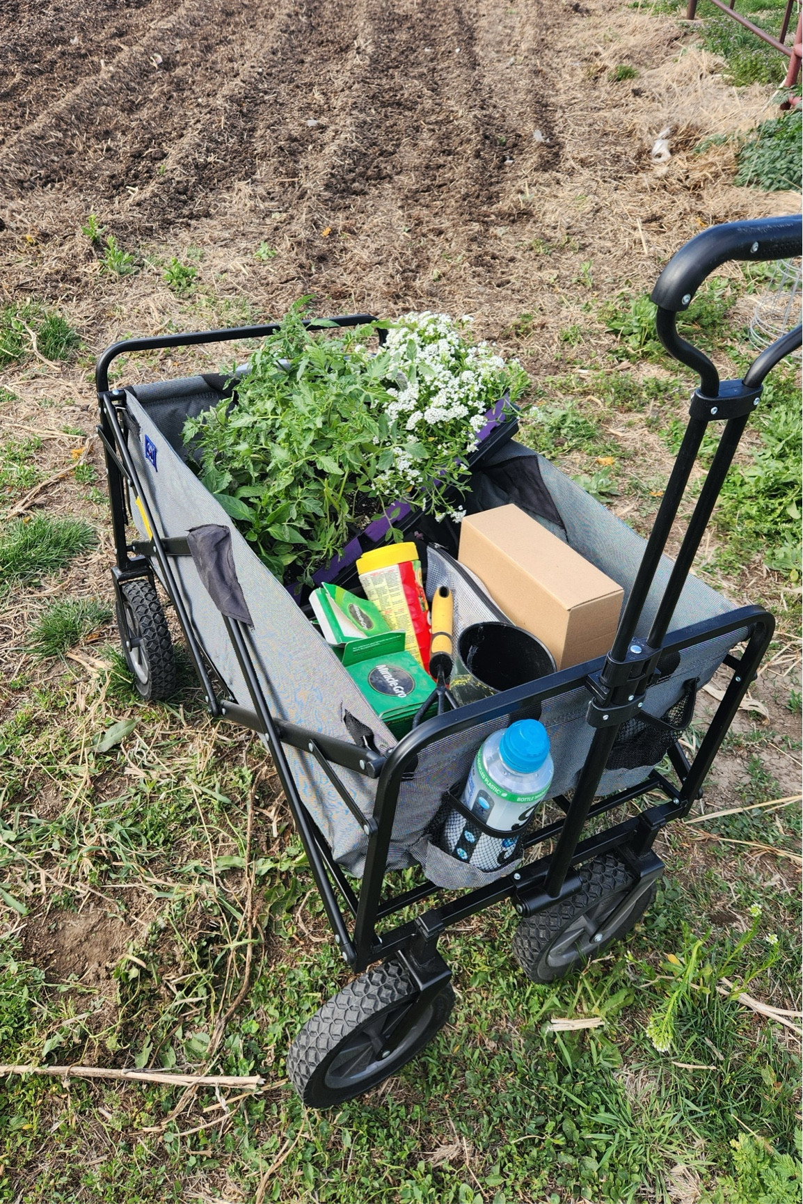 My wagon is pulling double duty this spring and is working both in the garden as well as going to baseball games. I love the durable cloth fabric that quickly wipes clean and the wheels go off roading without any issues. My wagon is currently on sale on Amazon so snag it now!#LTKhome #LTKfamily

#LTKSeasonal