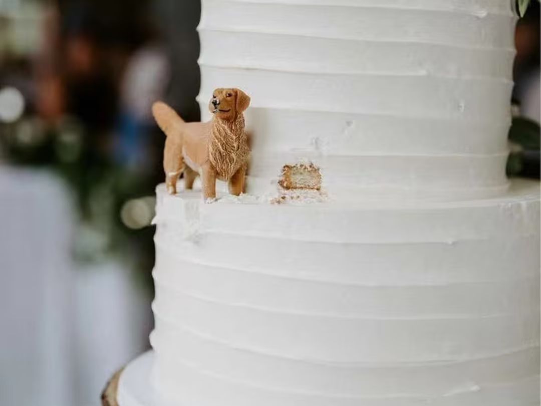 Personalized Custom Dog Wedding Cake Topper , Pet Cake Topperpets Birthdaycat Cake Topper , Anniv... | Etsy (US)