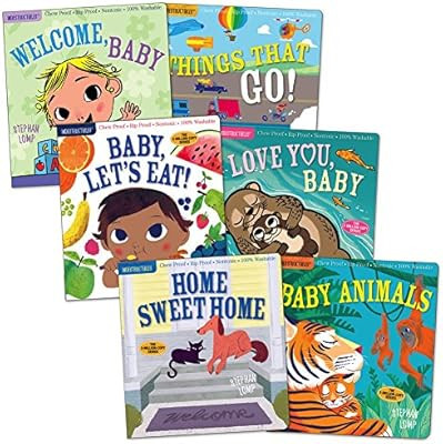Workman Publishing Indestructibles Basic Words Picture Books - Set of 6 | Amazon (US)