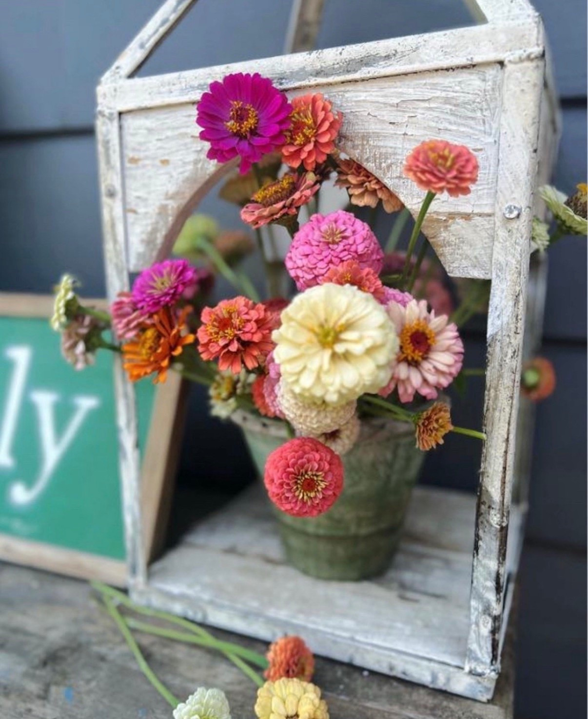 Wondering if zinnias are a good fit for your garden? They probably are! These tough, sun-loving annuals are some of the easiest flowers to grow and do well in nearly any climate. Give them a sunny spot, regular water, and you’ll be rewarded with bright, happy blooms from spring through summer. They’re truly one of the most beginner-friendly flowers out there!

#LTKU #LTKHome #LTKSeasonal