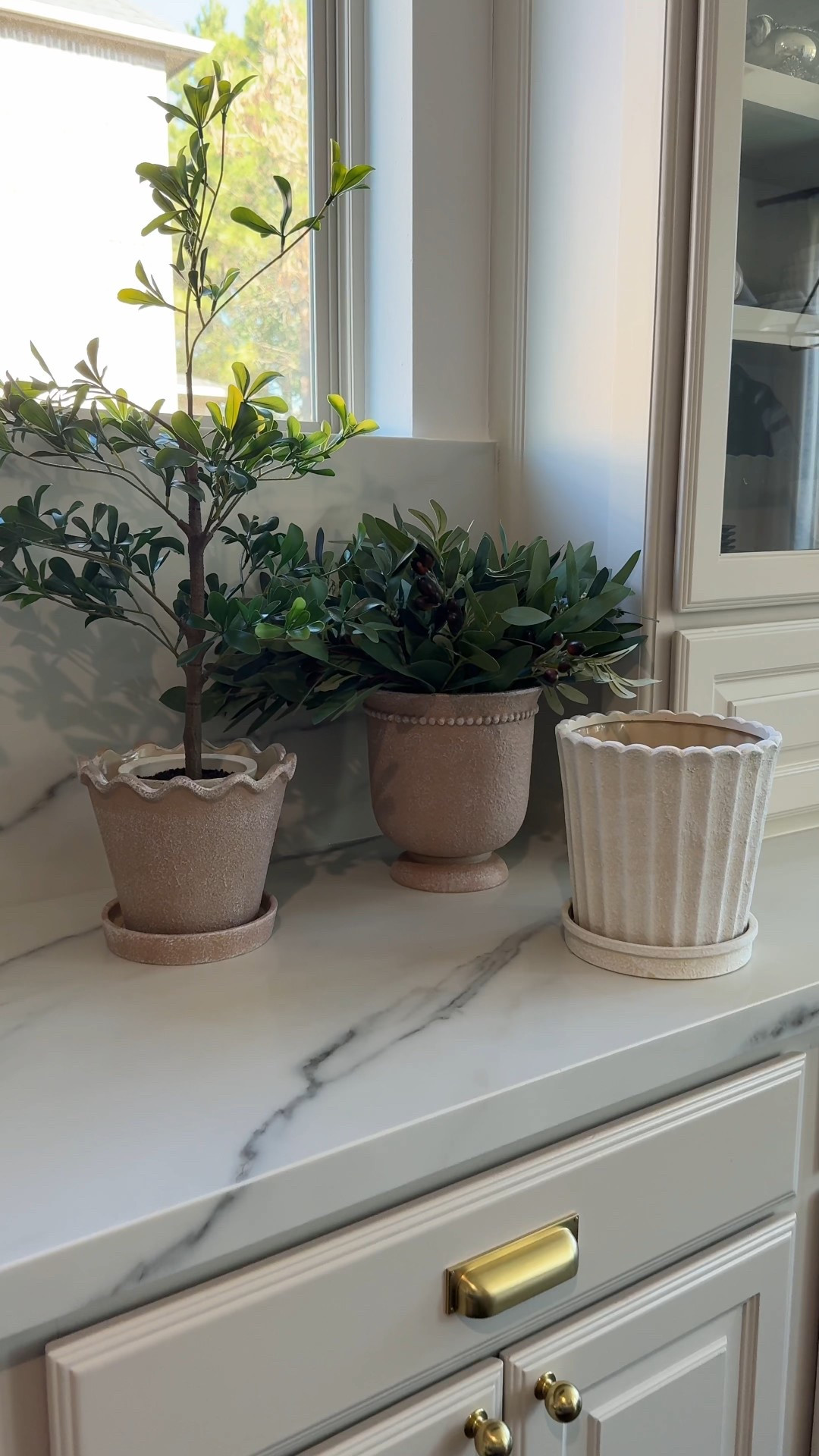 The cutest little tree for my new Walmart planters 🌿
The tree itself is from Target, and I’m using it indoors in the kitchen—just a quick shape and it’s perfect. Such an easy way to add greenery, and under $35 which makes it even better. A great spring refresh for your kitchen or any space that needs a soft, organic touch. Linking it for you 🤍


Target home decor, artificial tree, faux tree, kitchen decor, spring kitchen decor, indoor greenery, affordable home decor, modern organic decor, neutral home decor, faux plants, budget friendly decor, kitchen styling, planter ideas, spring home refresh

#LTKSeasonal #LTKstorytime #LTKHome