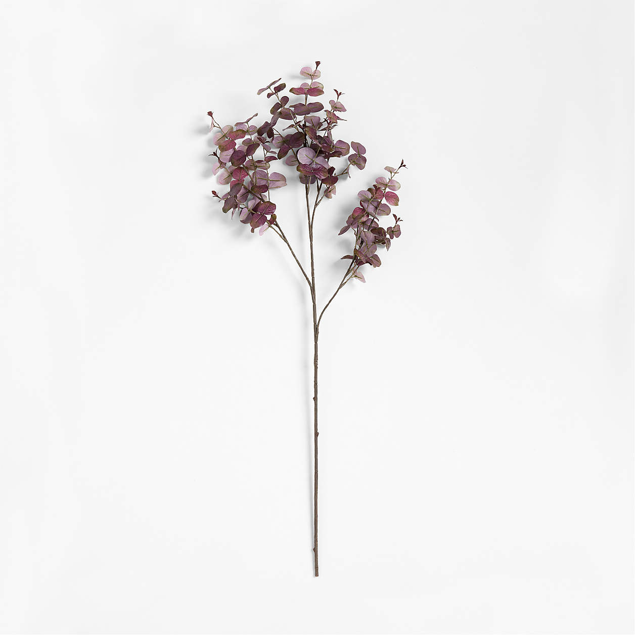 Faux Purple Smokebush Stem 41" + Reviews | Crate & Barrel | Crate & Barrel