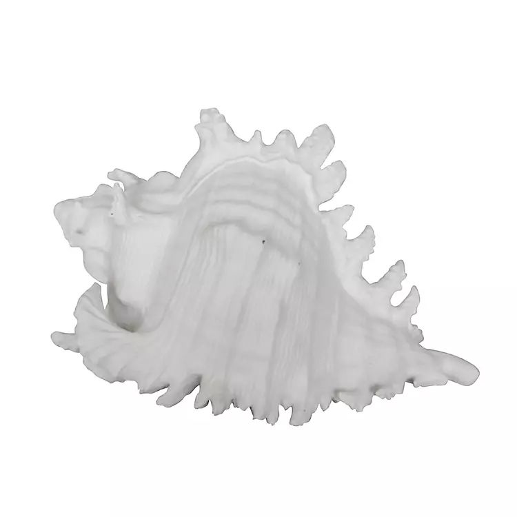 White Ceramic Conch Shell | Kirkland's Home