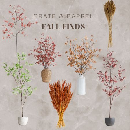 Crate & Barrel Fall Decor Fall Stems

#LTKSeasonal #LTKhome #LTKFind