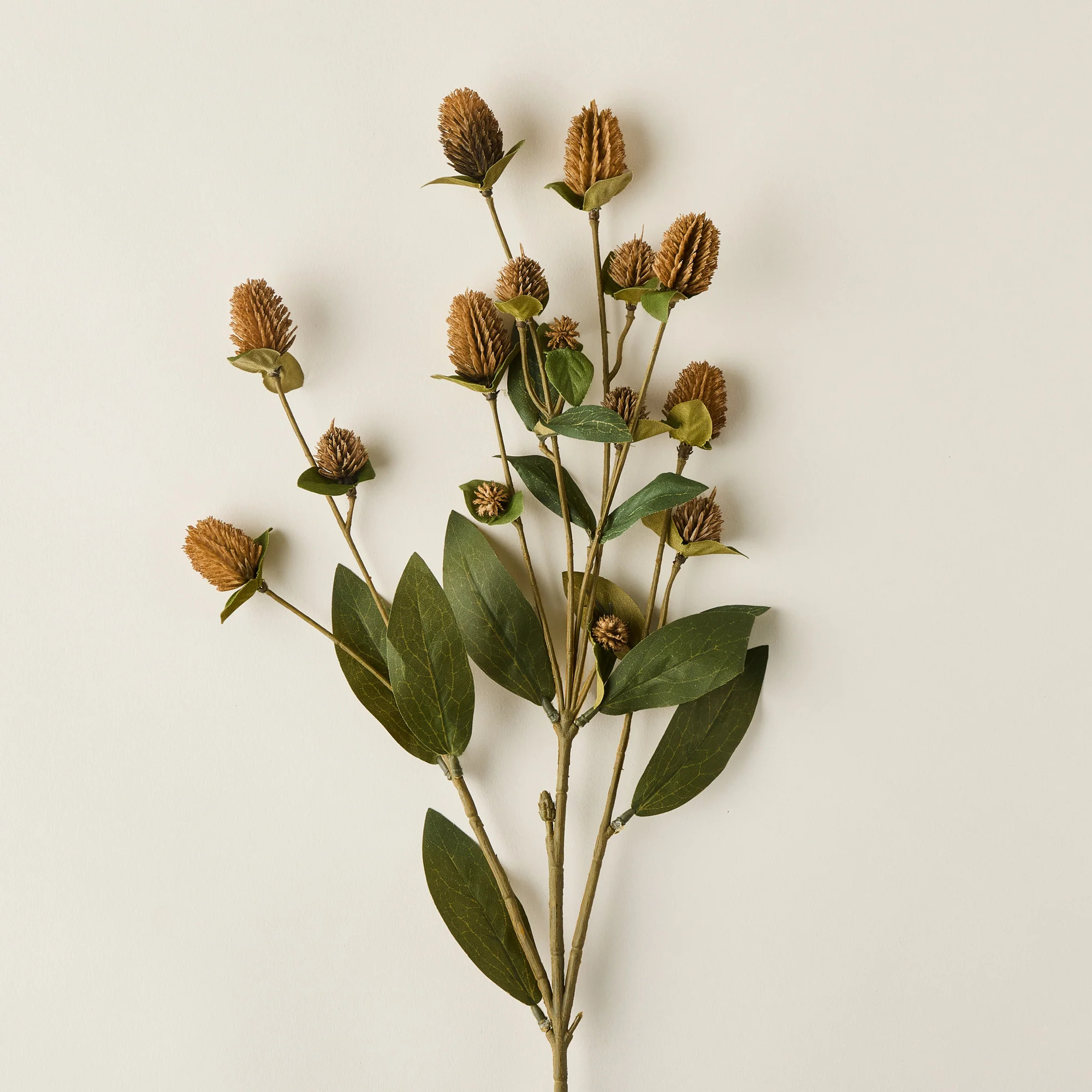 Globe Amaranth Spray | Kate Marker Home