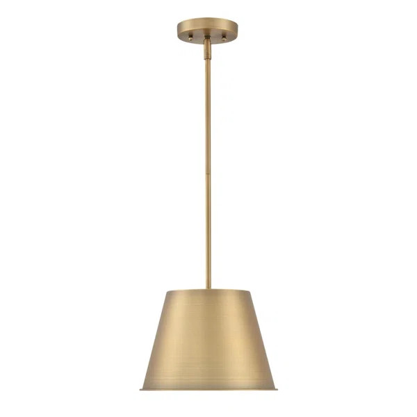 Camiah 1 - Light Single Cone Pendant | Wayfair North America