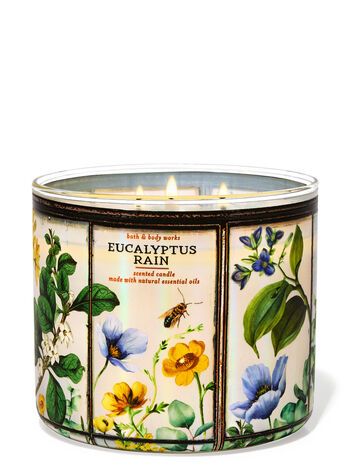 Eucalyptus Rain


3-Wick Candle | Bath & Body Works