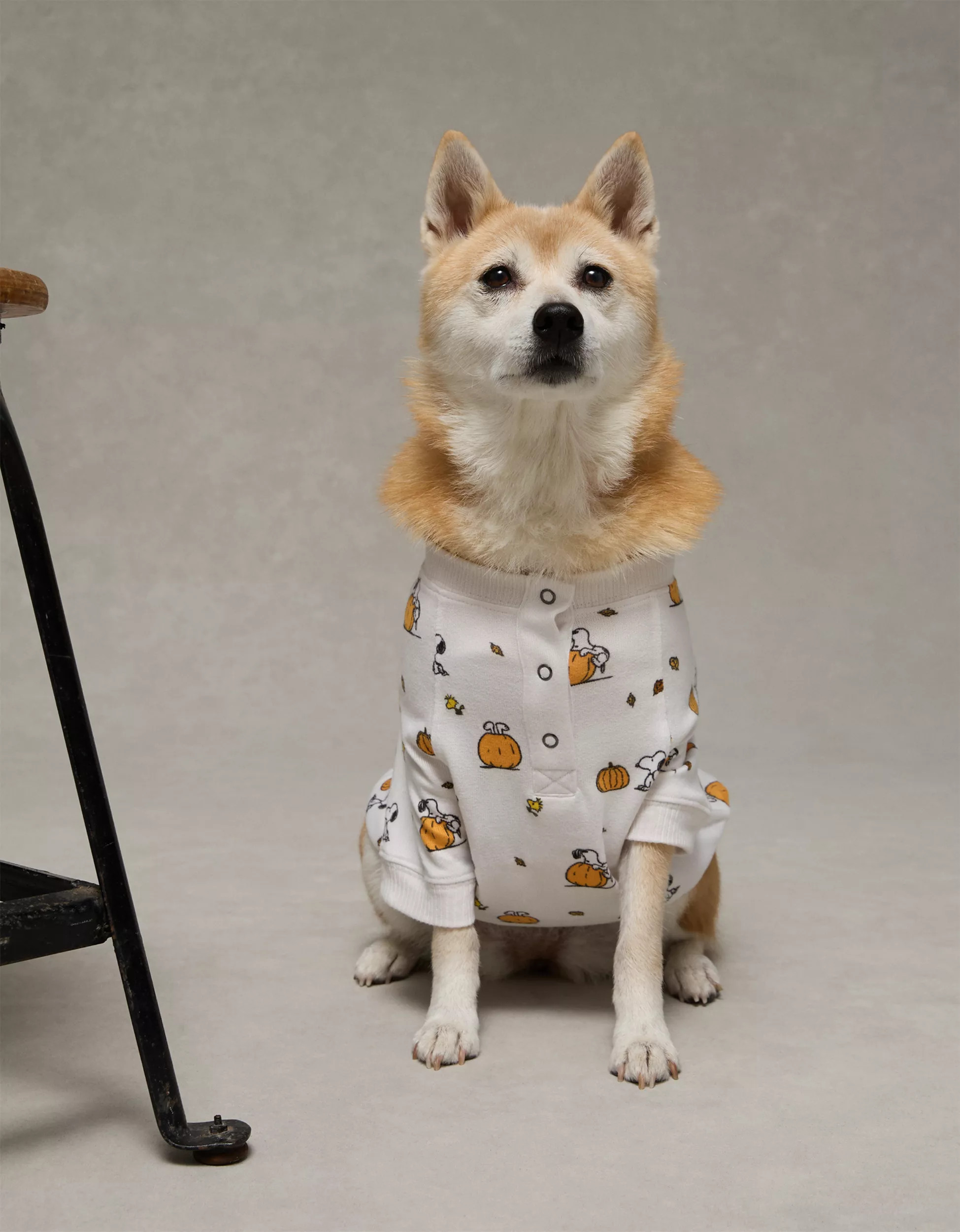 ABO Snoopy Pumpkin Plush Dog PJ Shirt | American Eagle Outfitters (US & CA)