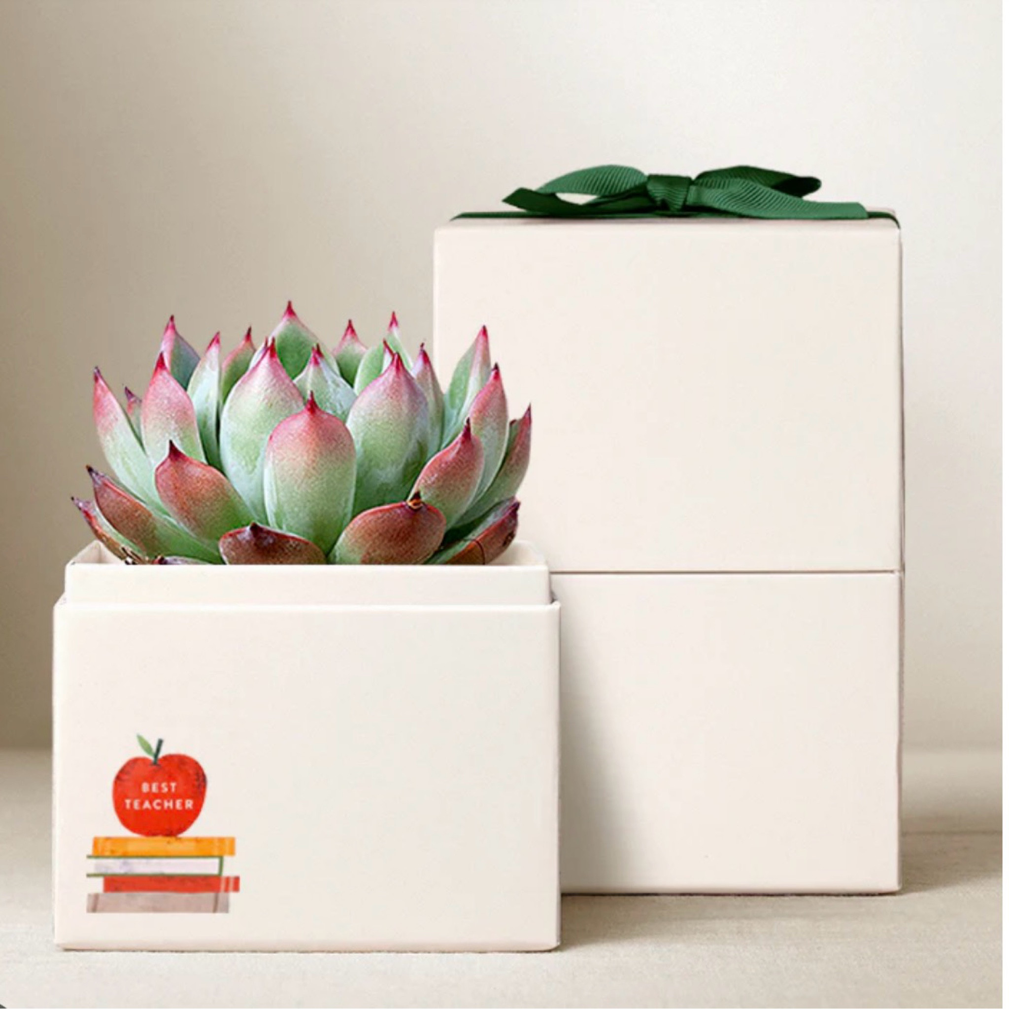 Teacher Appreciation Bliss Garden  #ltkteachergiftideas

#LTKKids
