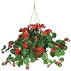 Nearly Natural 6609-RD 24in. Geranium Hanging Basket Silk Plant,Red,10.25" x 10.25" x 17.5" | Amazon (US)
