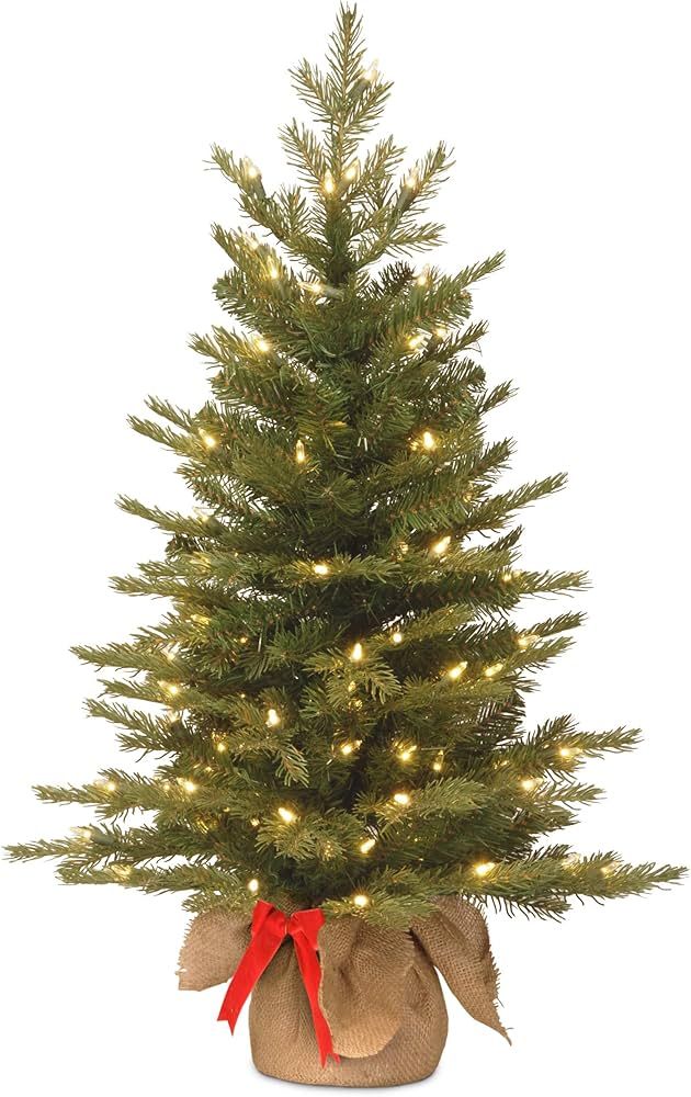 Amazon.com: National Tree Company Pre-Lit 'Feel Real' Artificial Mini Christmas Tree, Green, Nord... | Amazon (US)