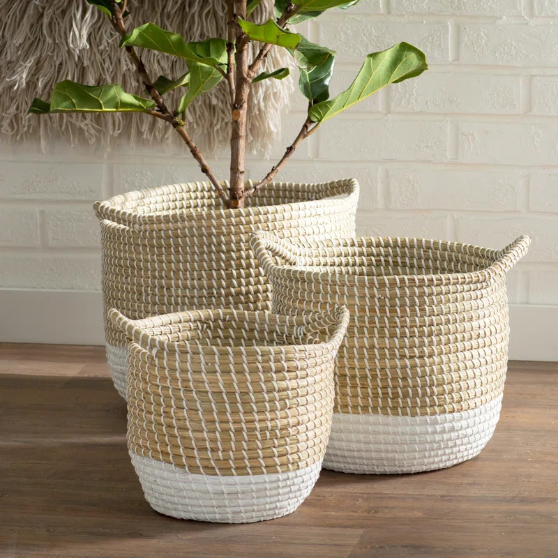 Seagrass 3 Piece Basket Set | Wayfair North America