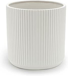 Amazon Basics Fluted Ceramic Round Planter, 8-Inch, White | Amazon (US)