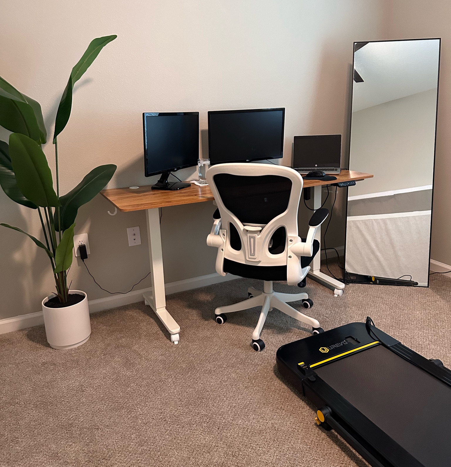 Work from home setup that’s ergonomic and efficient! 🖥️ 

#LTKhome