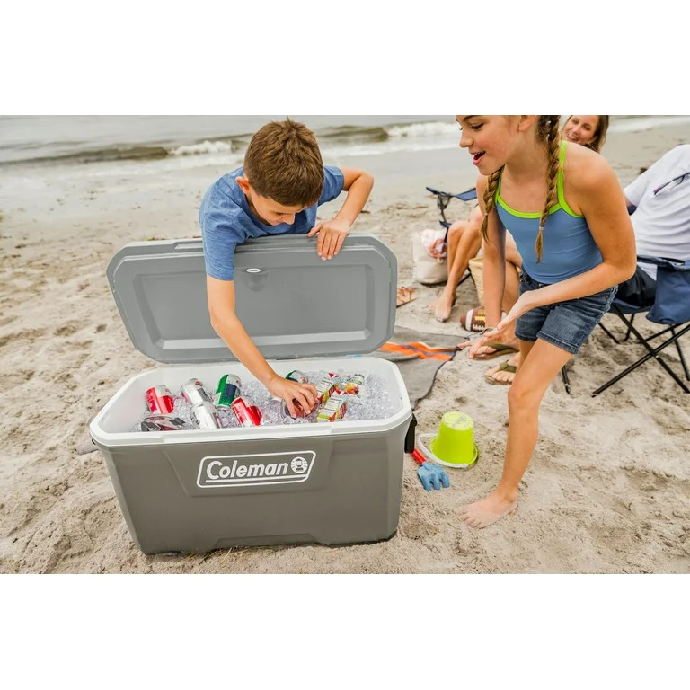 Coleman 316 Series 70QT Hard Chest Cooler, Silver Ash - Walmart.com | Walmart (US)