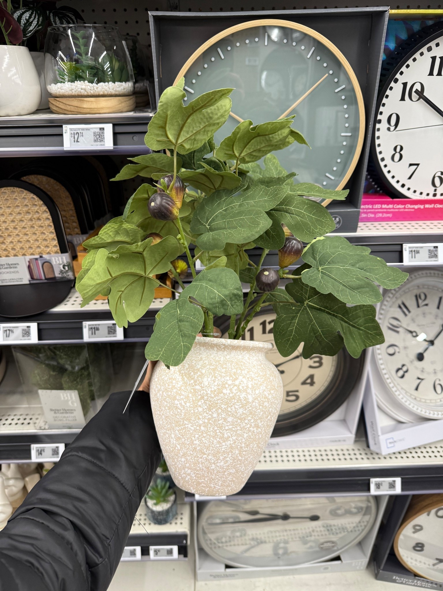 Walmart home
Walmart fig plant

#LTKHome #LTKSeasonal