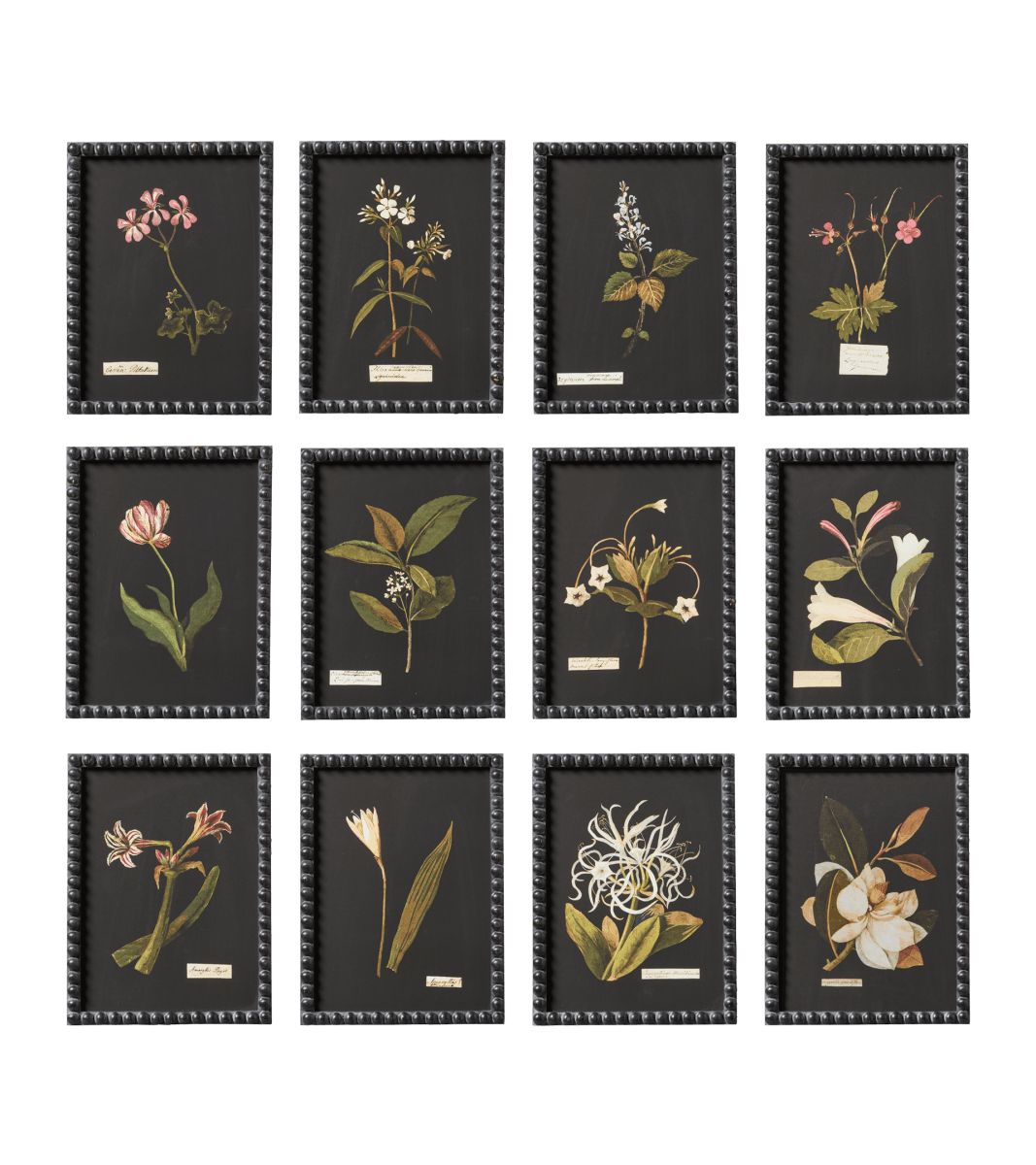 Set of Twelve Framed Flower Botanical Prints | OKA US