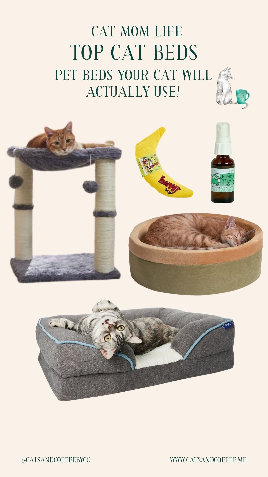 Top pet beds your cat will actually use! 😻✨👏🎉

#LTKdayinmylife #LTKHome #LTKstorytime