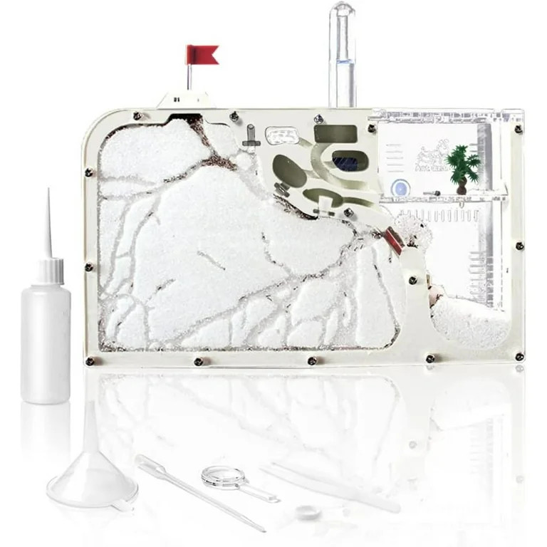 NOGIS Ant Farm Castle, Ant Nest Farm for Live Ants, Ant Colony Observation Kit, Ant Habitat Scien... | Walmart (US)