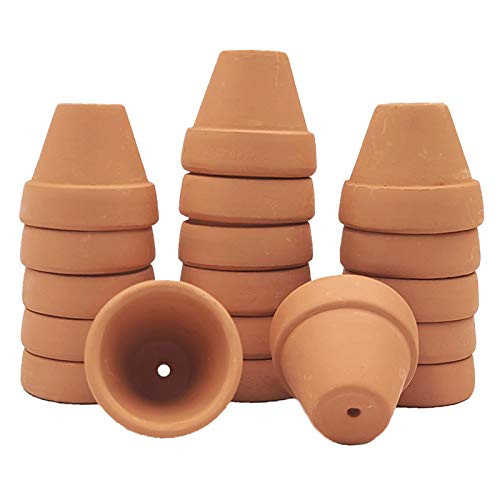 Yishang mini Terracotta Pots with Drainage Holes - 1.2 inches Succulent Cactus Nursery Planter,Tiny Clay Nursery Pots for Indoor/Outdoor Mini Plant, DIY Crafts, Wedding Favors(18 Pack) | Amazon (US)
