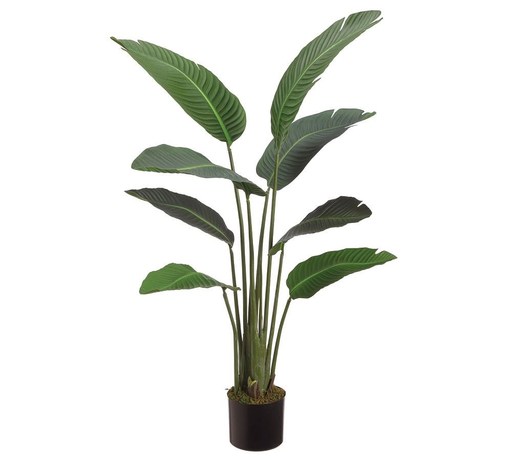 Faux Bird Of Paradise Plant With 8 Leaves, 45 | Pottery Barn (US)