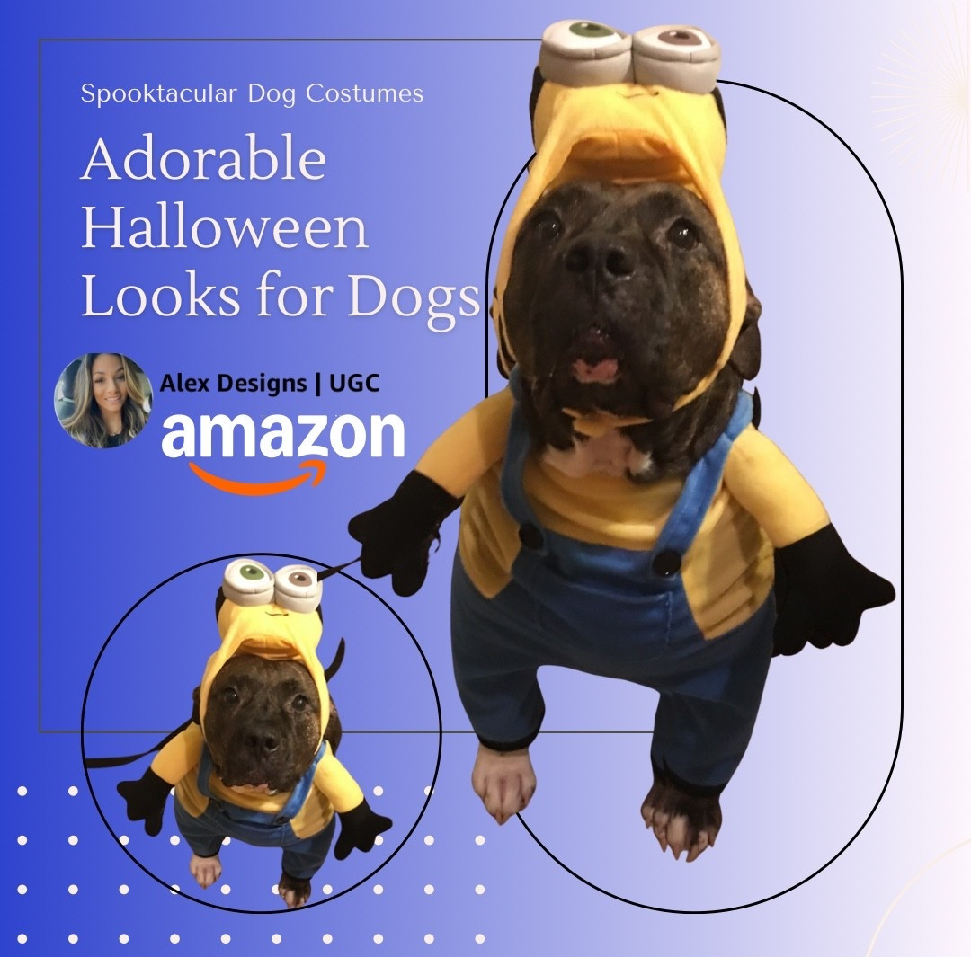 Your pup deserves to shine this Halloween 🎃🐾 — snag this adorable Amazon dog costume and be the talk of the block! Tap to shop now 🛒 #LTKpets #DogCostumes #DogCostumes #HalloweenDogCostume #PetHalloweenLooks #LTKpets #LTKholiday #LTKdogstyle #AmazonFindsForPets #CuteDogCostume #SpookySeasonReady #PetParentMustHaves

#LTKFallSale #LTKHalloween #LTKPets