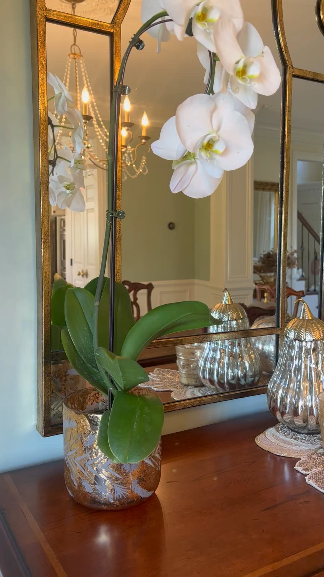 Fall Decorating with Mercury Glass Pumpkins

Home Décor | Classic Home Décor | Timeless Décor | Timeless Home| Neutral Home Décor | Designer Home | Beige | Ivory | Gray | Custom Décor | Gold | Thanksgiving | Candle | Pumpkin | Silver | Fall

#LTKSeasonal #LTKHalloween #LTKhome
