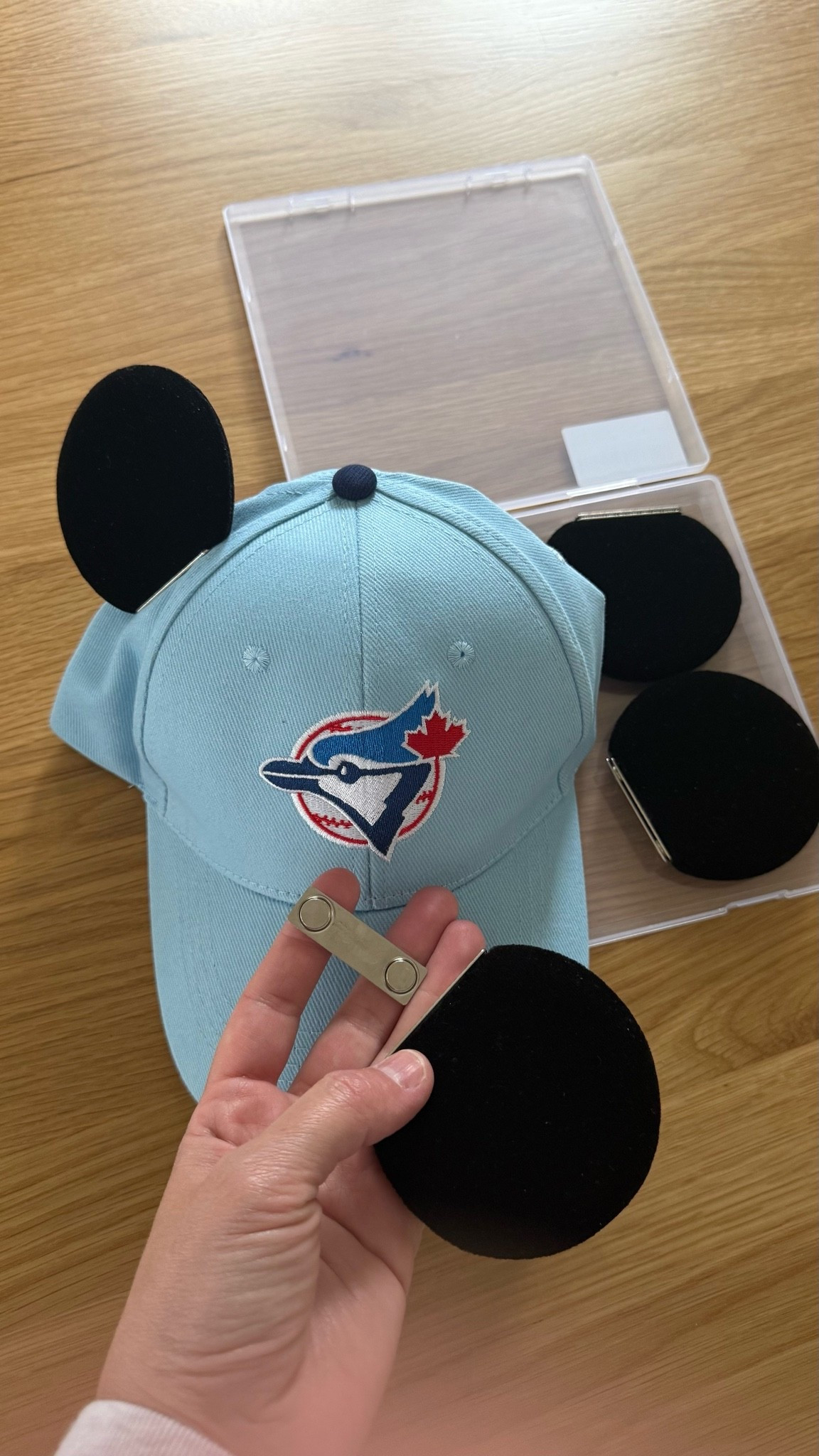 Ultimate HACK for Disney trips!

#LTKcanada #LTKtravel #LTKkids