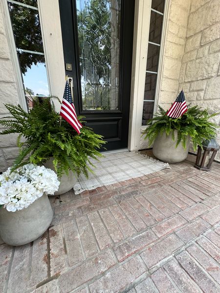 Planters
Patio
Faux flowers
I just got fake ferns for the backyard and they look amazing!



#LTKHome #LTKSeasonal #LTKFindsUnder100