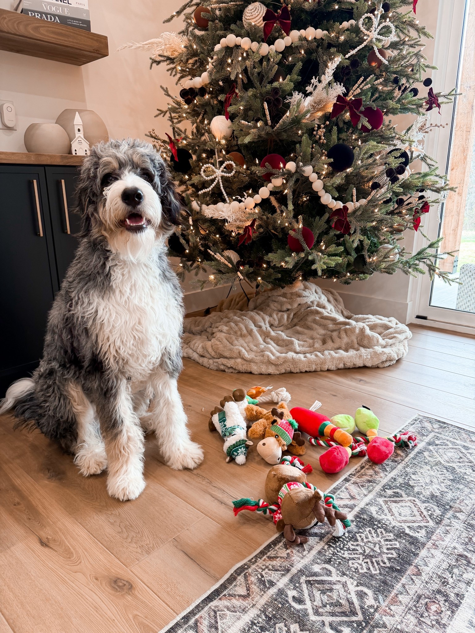 Got pups some new Christmas toys and treats! 

@chewy  #ChewyPartner 

#LTKHoliday #LTKGiftGuide #LTKCyberWeek