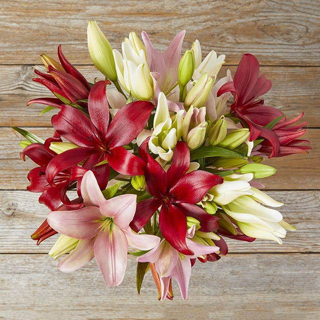 Mother's Day Lilies | The Bouqs