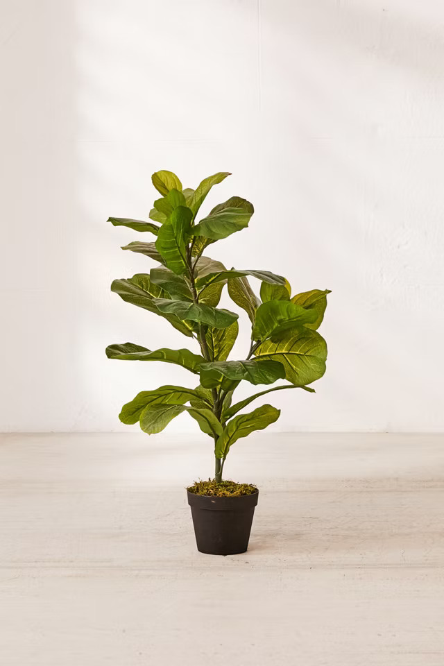 Fiddle Leaf Potted Faux Plant | Urban Outfitters (US and RoW)