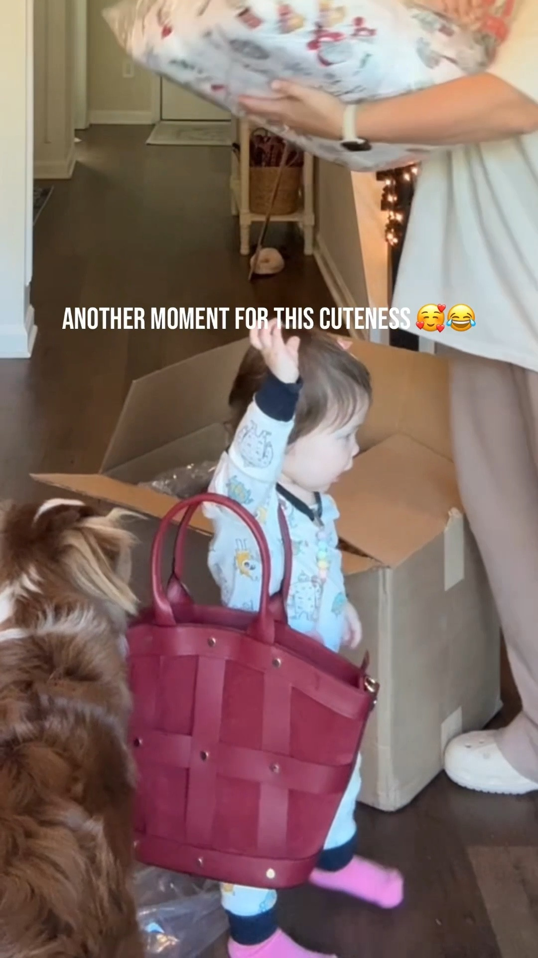 TJMAXX.com shopping haul unboxing with prices listed.

Gingerbread pillow only has 1 left in stock- hurry! Have linked other options as well! 

#LTKHoliday #LTKMidsize #LTKFindsUnder50