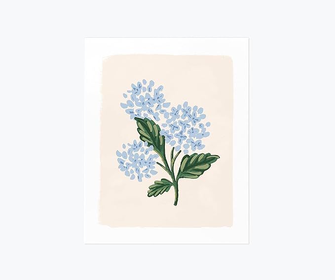 RIFLE PAPER CO. Hydrangea Bloom Cream Art Print, 8" W x 10" Long, Wake Up Your Walls and Shelves ... | Amazon (US)