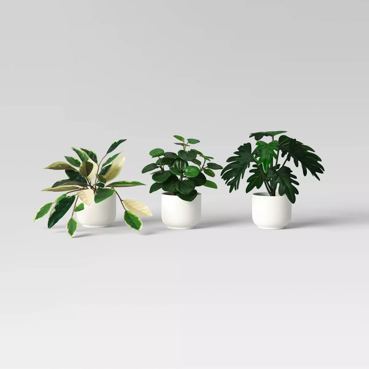 Core Plant Multipack in White Pot - Room Essentials™ | Target