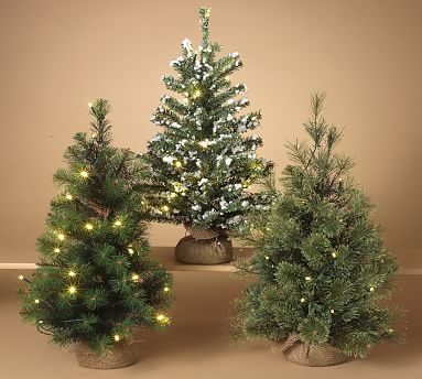 Artificial Lit Miniature Trees, Set of 3 | Pottery Barn (US)