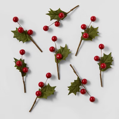 40ct Red Berries - Wondershop™ | Target