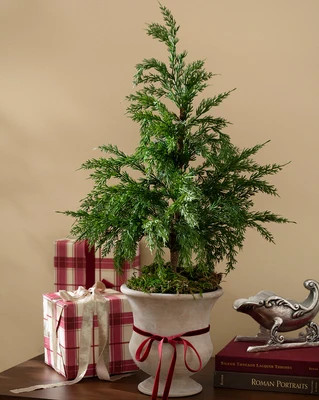 Cedar Potted Faux Tree 27 | McGee & Co. (US)
