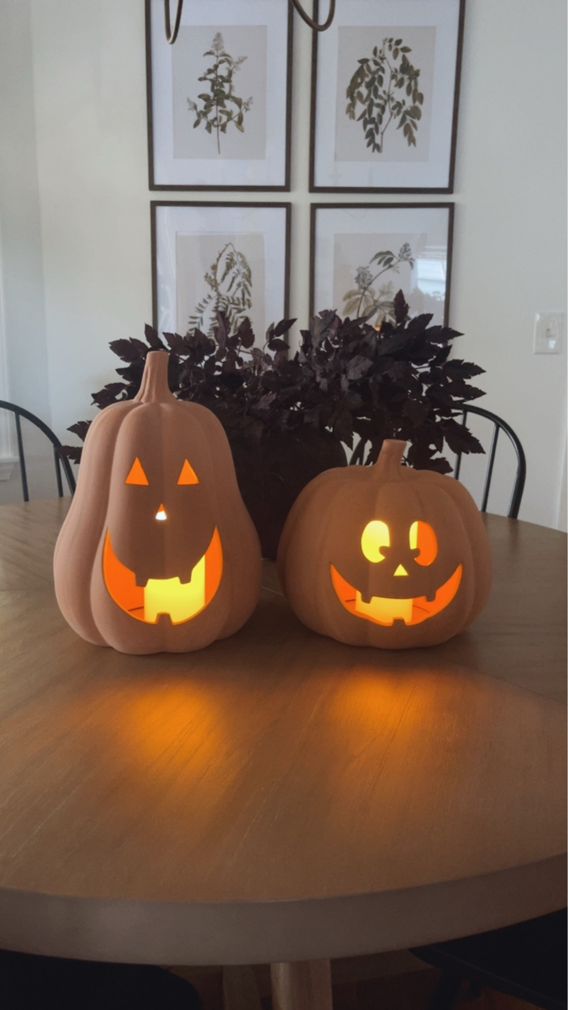 They’re back—and still under $20 each! 🎃

These clay jack-o’-lanterns come in two sizes and give off the coziest glow with a flameless candle inside.
.
.
#halloweendecor #halloweenfinds #falldecor
Clay jack-o’-lanterns, Halloween jack-o’-lanterns, Halloween decor under $20, affordable Halloween decor, light-up Halloween pumpkins, terracotta pumpkins, clay pumpkin decorations, flameless candle pumpkins, indoor Halloween decor, cozy Halloween decor, vintage-inspired Halloween decor, Halloween home finds, budget Halloween finds, fall home decor#LTKxWalmart @Walmart

#LTKSeasonal #LTKHome