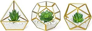Mkono Artificial Succulent in 3 Pack Mini Glass Geometric Terrarium, Miniature Potted Faux Plant ... | Amazon (US)