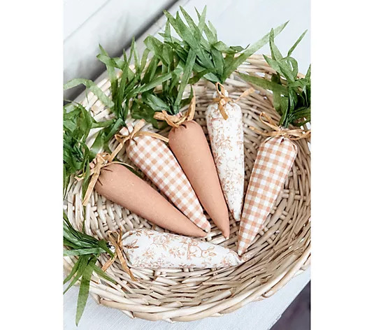 Make Your Selection: Simply Stunning Set of 6 Decorative Carrots by Janine Graff | QVC