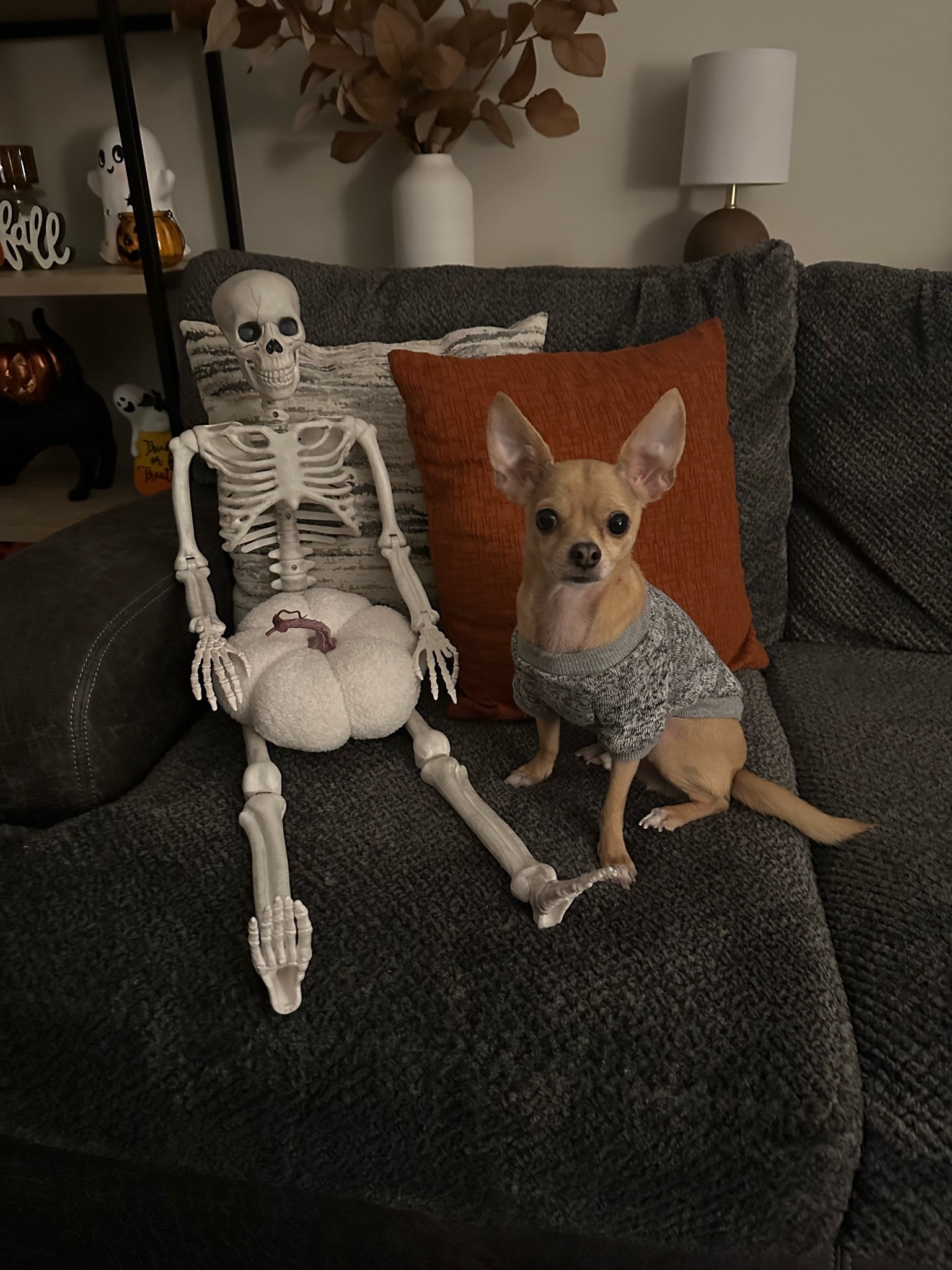 Link To Freddy 🖤

#LTKhome #LTKHalloween #LTKSeasonal