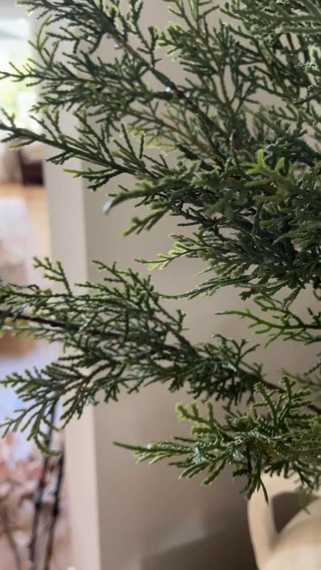 These pine stems look so real! I have 3 stems in this vase!

#LTKHoliday #LTKhome #LTKSeasonal