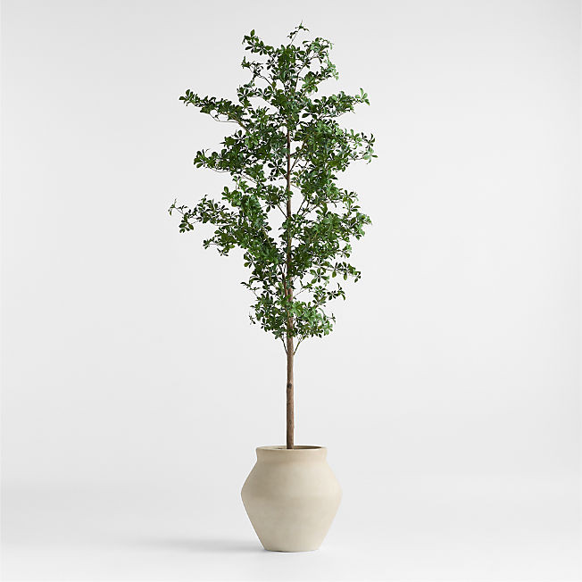 Potted Faux Black Olive Tree 7.5' | Crate & Barrel | Crate & Barrel